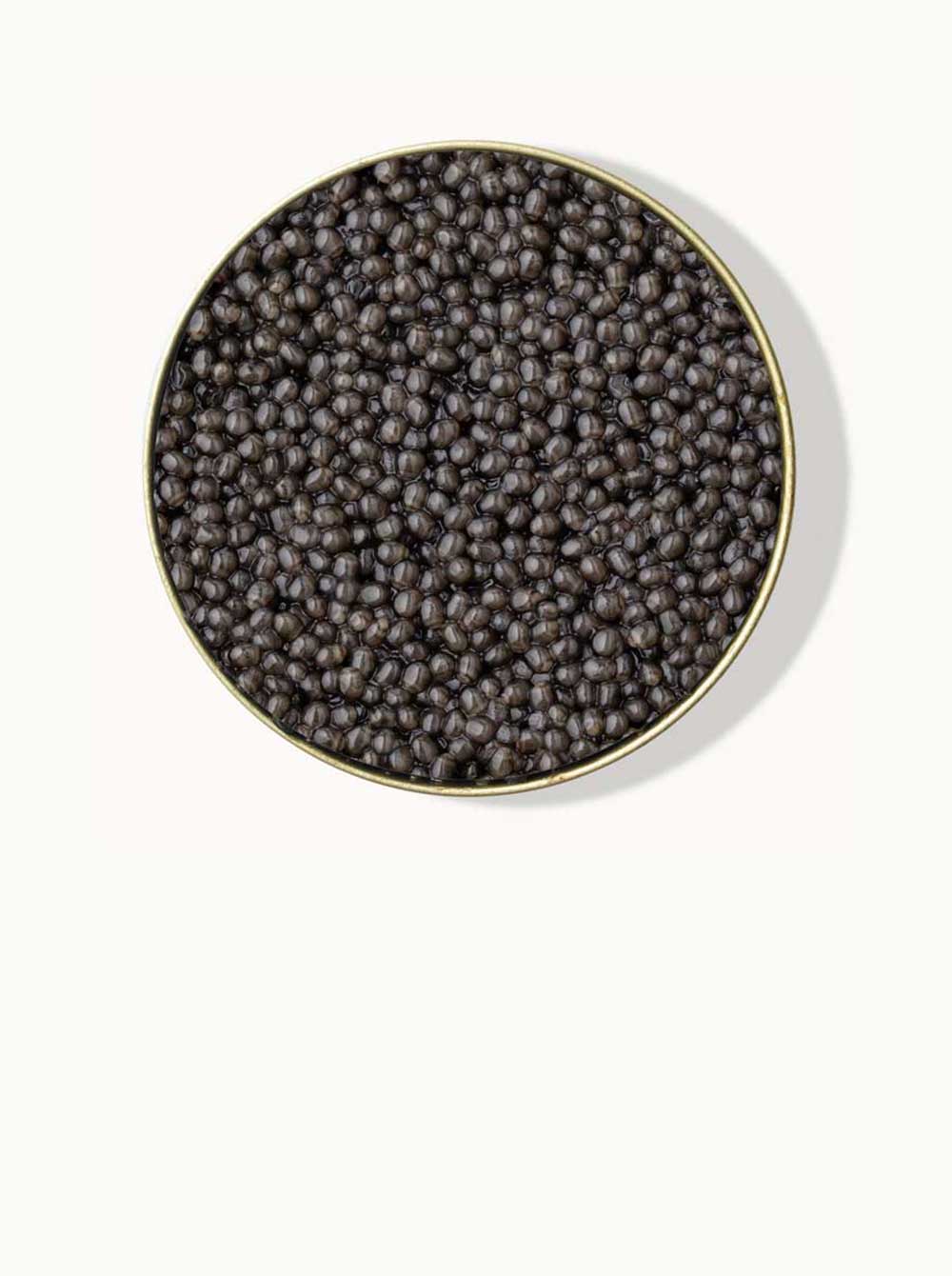 A top-down image of an opened tin of light gray Beluga-Hybrid caviar on a white background. The beads glisten in the light and look plump and inviting.