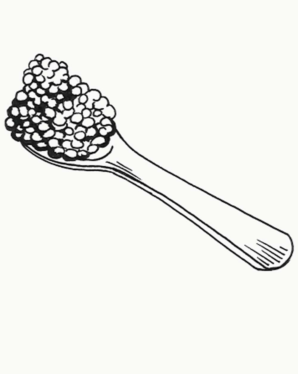 a stylish hand-drawn black-and-white image of a pearl spoon holding a generous dollop of Petrossian caviar.