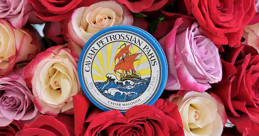 Valentine’s Time to Shine
