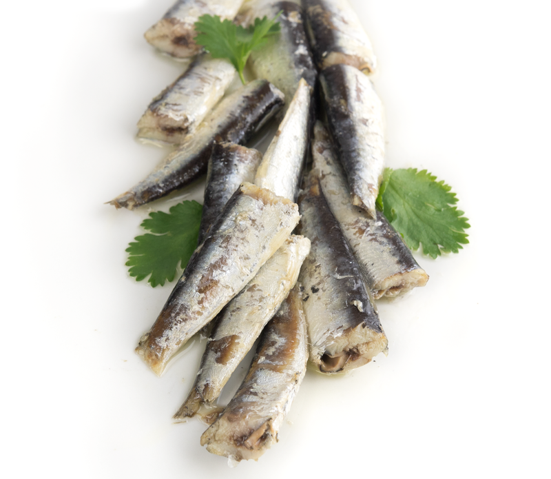 Sardines are a gourmet healthy food
