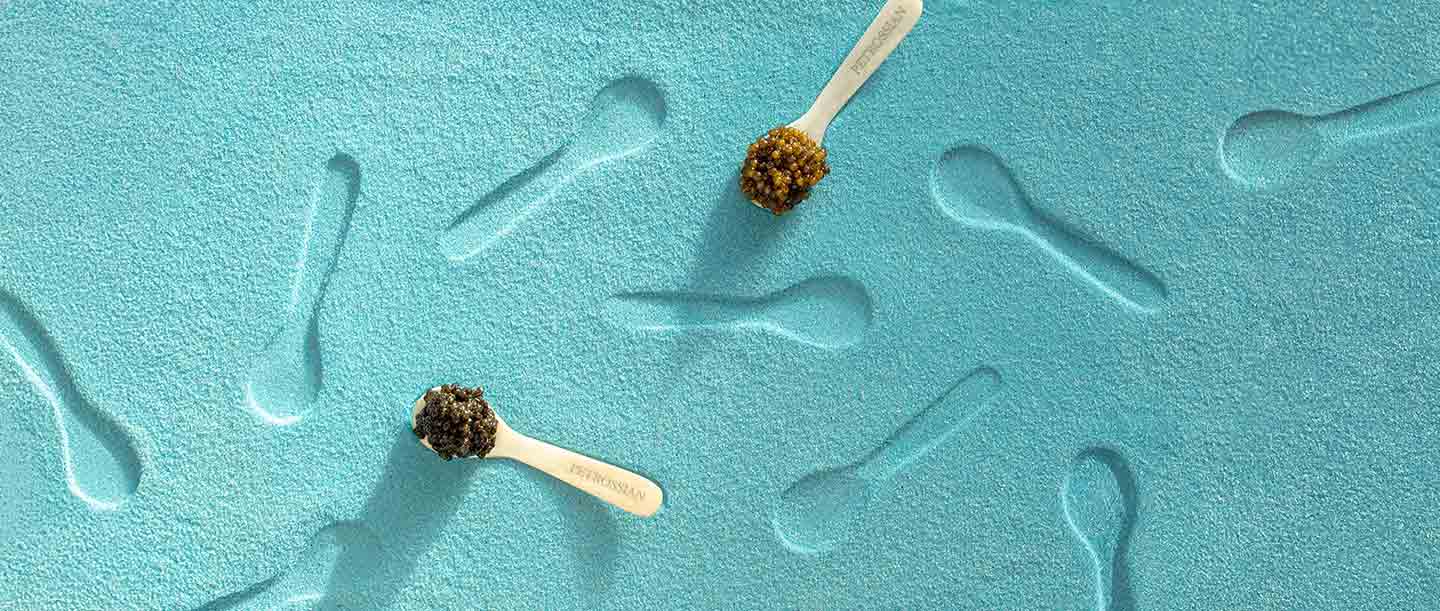 The Petrossian Caviarolog®