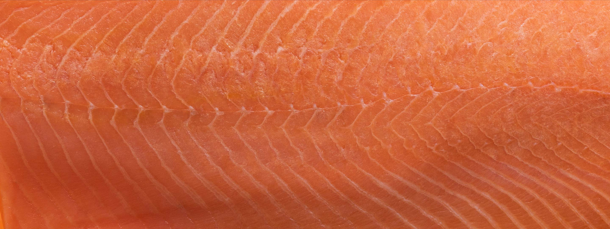 Smoked Salmon
