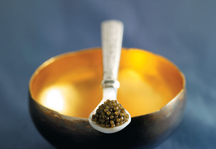 Baïka Caviar