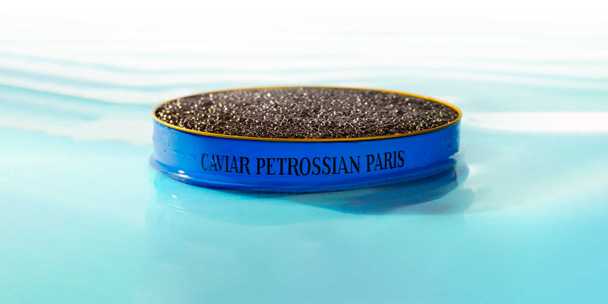 Persicus Caviar