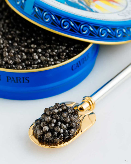 Beluga Hybrid Caviar
